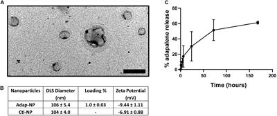 Intravenously Administered, Retinoid Activating Nanoparticles Increase Lifespan and Reduce Neurodegeneration in the SOD1G93A Mouse Model of ALS